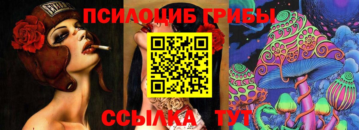 Псилоцибиновые грибы прущие грибы Долгопрудный