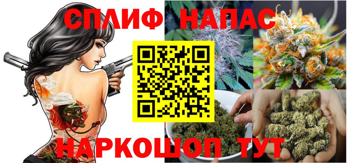 МАРИХУАНА план  Бошки марихуана семена  Долгопрудный  Вход с VPN 